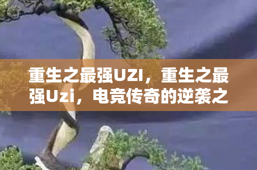 重生之最强UZI，重生之最强Uzi，电竞传奇的逆袭之路