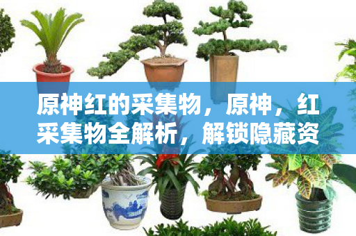 原神红的采集物，原神，红采集物全解析，解锁隐藏资源获取技巧