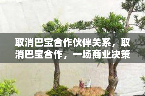 取消巴宝合作伙伴关系，取消巴宝合作，一场商业决策的深度剖析