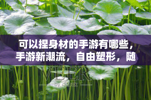 可以捏身材的手游有哪些,手游新潮流,自由塑形,随心所欲打造理想身材 可以捏身材的手游有哪些,手游新潮流,自由塑形,随心所欲打造理想身材