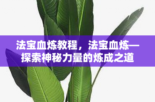 法宝血炼教程，法宝血炼—探索神秘力量的炼成之道