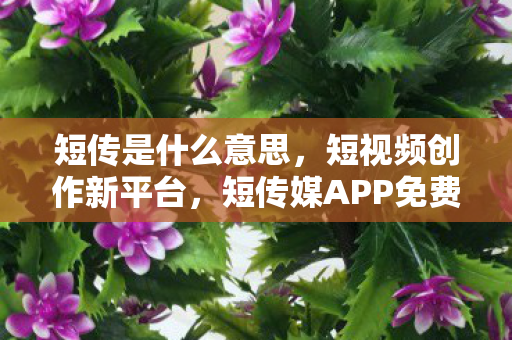 短传是什么意思，短视频创作新平台，短传媒APP免费下载体验