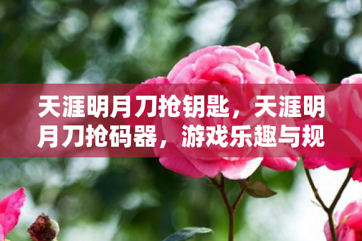 天涯明月刀抢钥匙，天涯明月刀抢码器，游戏乐趣与规则的边界