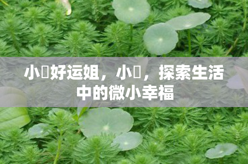小訫好运姐，小訫，探索生活中的微小幸福
