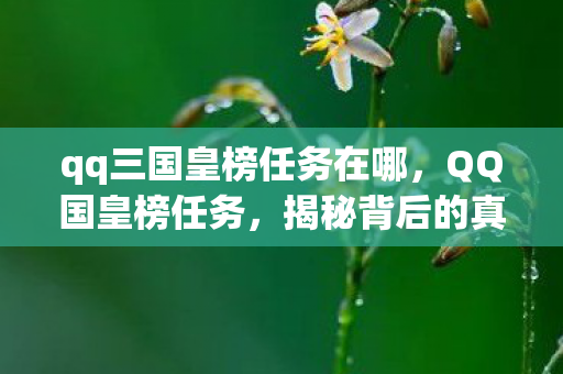 qq三国皇榜任务在哪，QQ国皇榜任务，揭秘背后的真相与风险