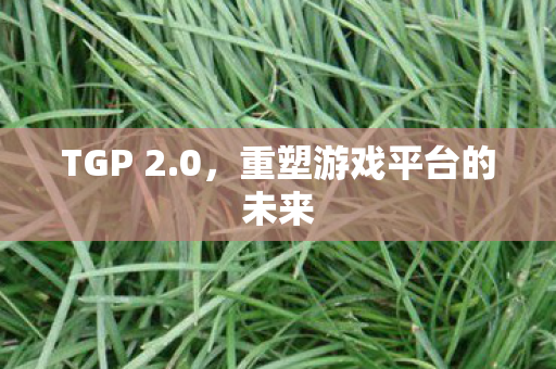 TGP 2.0，重塑游戏平台的未来