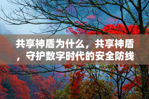 共享神盾为什么,共享神盾,守护数字时代的安全防线 共享神盾为什么,共享神盾,守护数字时代的安全防线