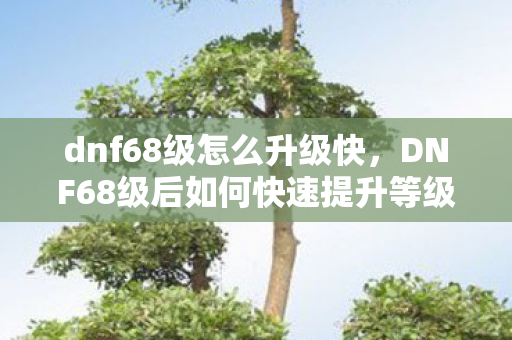 dnf68级怎么升级快，DNF68级后如何快速提升等级