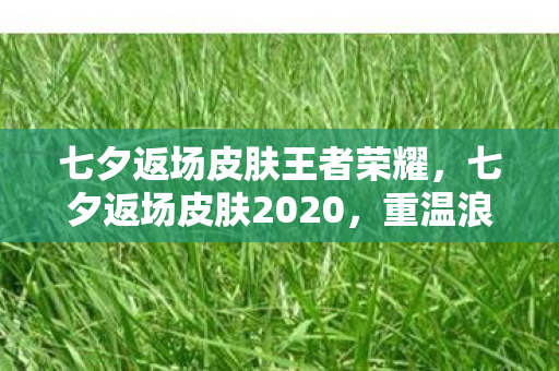 七夕返场皮肤王者荣耀图片