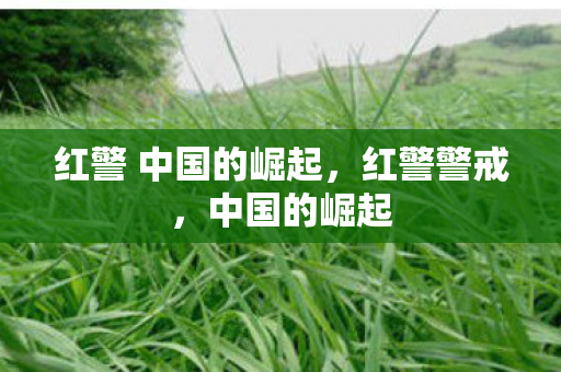 红警 中国的崛起图片