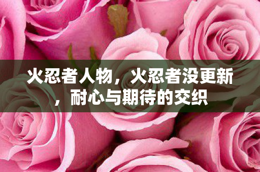 火忍者人物，火忍者没更新，耐心与期待的交织