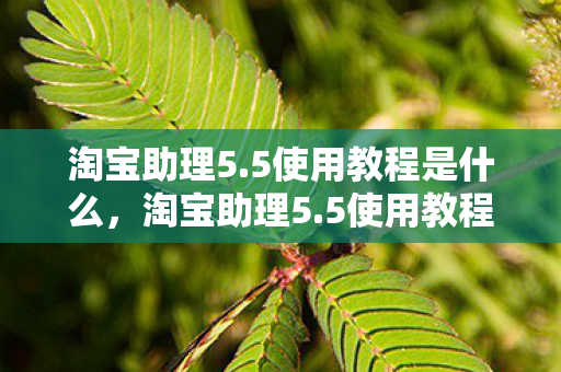 淘宝助理5.5使用教程是什么，淘宝助理5.5使用教程