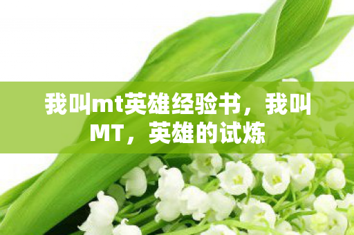 我叫mt英雄经验书，我叫MT，英雄的试炼