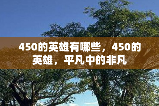 450的英雄有哪些，450的英雄，平凡中的非凡