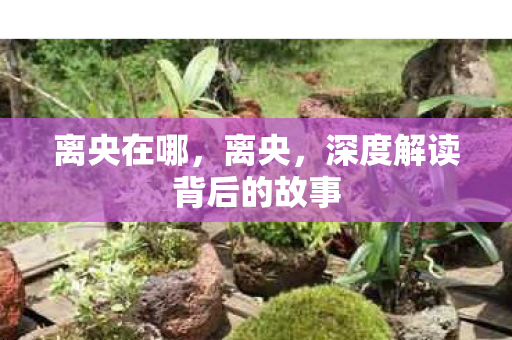 离央在哪，离央，深度解读背后的故事