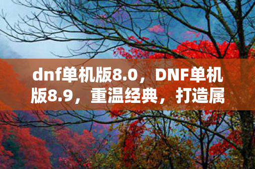 dnf单机版8.0，DNF单机版8.9，重温经典，打造属于你的冒险之旅