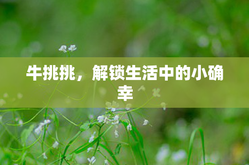 牛挑挑，解锁生活中的小确幸