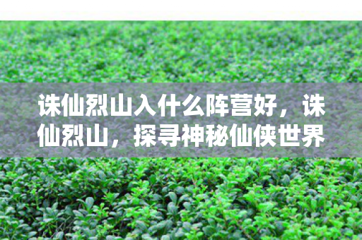 诛仙烈山入什么阵营好，诛仙烈山，探寻神秘仙侠世界的奇幻之旅