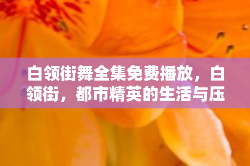 白领街舞全集免费播放，白领街，都市精英的生活与压力