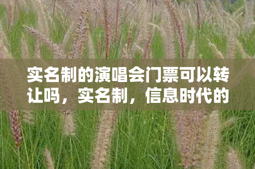 实名制的演唱会门票可以转让吗，实名制，信息时代的双刃剑