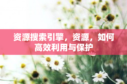 资源搜索引擎，资源，如何高效利用与保护