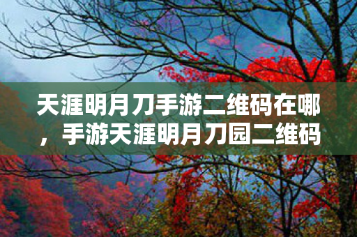 天涯明月刀手游二维码在哪，手游天涯明月刀园二维码，解锁你的专属江湖之旅