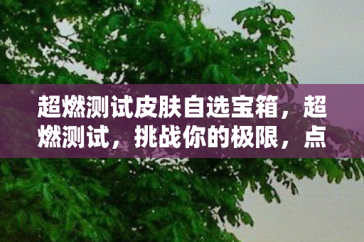 超燃测试皮肤自选宝箱，超燃测试，挑战你的极限，点燃你的激情