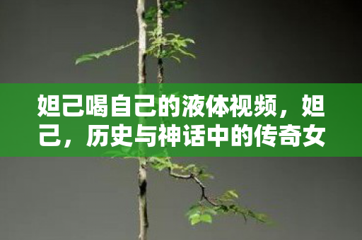 妲己喝自己的液体视频，妲己，历史与神话中的传奇女性