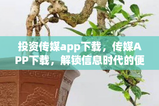 投资传媒app下载,传媒APP下载,解锁信息时代的便捷入口 投资传媒app下载,传媒APP下载,解锁信息时代的便捷入口