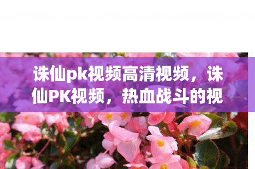 诛仙pk视频高清视频，诛仙PK视频，热血战斗的视觉盛宴