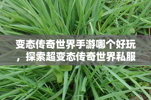 变态传奇世界手游哪个好玩，探索超变态传奇世界私服，一场虚拟世界的冒险之旅