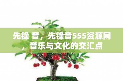 先锋 音，先锋音555资源网，音乐与文化的交汇点