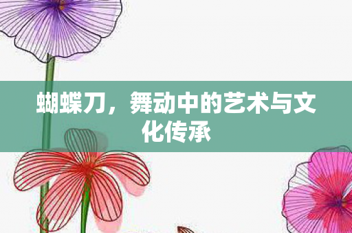 蝴蝶刀，舞动中的艺术与文化传承