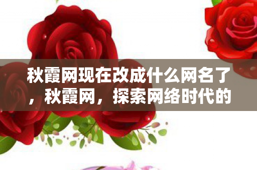 秋霞网现在改成什么网名了，秋霞网，探索网络时代的文化现象