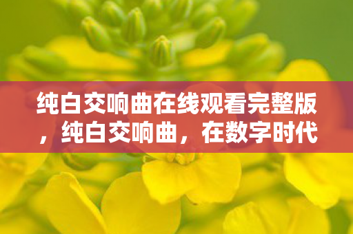 纯白交响曲在线观看完整版，纯白交响曲，在数字时代中寻找真实与虚拟的和谐