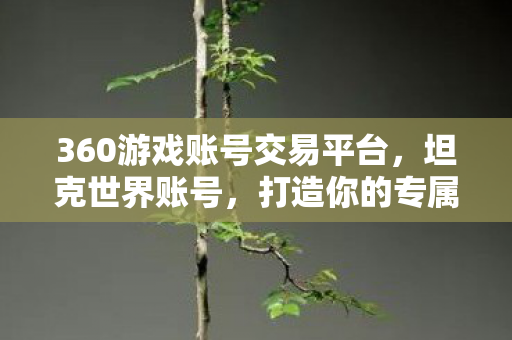 360游戏账号交易平台，坦克世界账号，打造你的专属战场