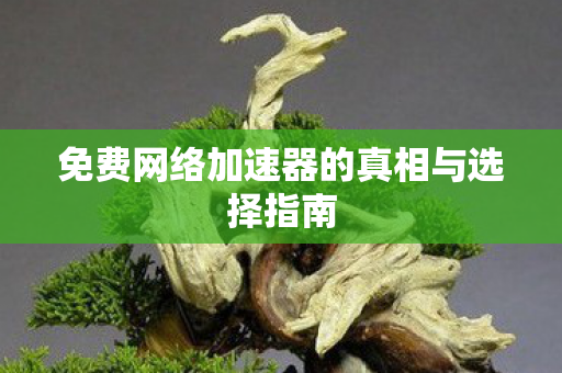 免费网络加速器的真相与选择指南 免费网络加速器的真相与选择指南