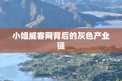 小姐威客网背后的灰色产业链 小姐威客网背后的灰色产业链