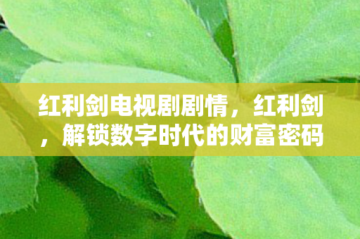 红利剑电视剧剧情，红利剑，解锁数字时代的财富密码