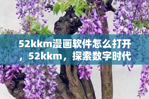 52kkm漫画软件怎么打开，52kkm，探索数字时代的创新之路
