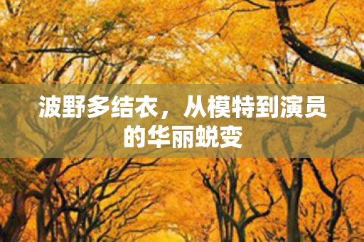 波野多结衣，从模特到演员的华丽蜕变