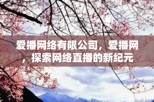 爱播网络有限公司,爱播网,探索网络直播的新纪元 爱播网络有限公司,爱播网,探索网络直播的新纪元