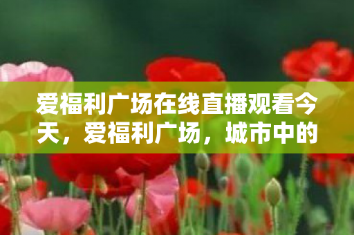 爱福利广场在线直播观看今天，爱福利广场，城市中的温暖绿洲