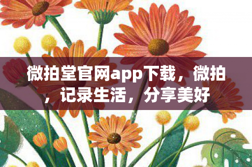 微拍堂官网app下载，微拍，记录生活，分享美好