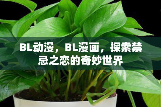 BL动漫，BL漫画，探索禁忌之恋的奇妙世界