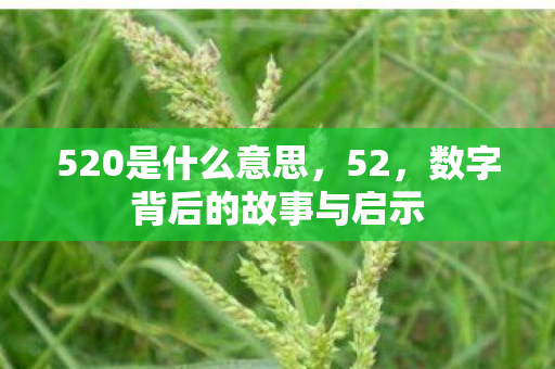 520是什么意思,52,数字背后的故事与启示 520是什么意思,52,数字背后的故事与启示
