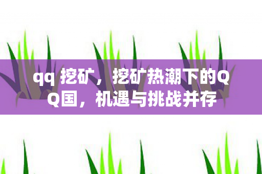 qq 挖矿,挖矿热潮下的QQ国,机遇与挑战并存 qq 挖矿,挖矿热潮下的QQ国,机遇与挑战并存