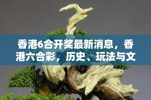 香港6合开奖最新消息，香港六合彩，历史、玩法与文化影响