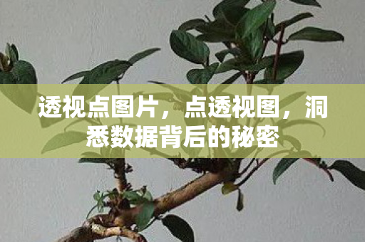 透视点图片,点透视图,洞悉数据背后的秘密 透视点图片,点透视图,洞悉数据背后的秘密