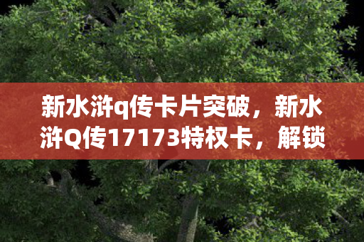 新水浒Q传17173特权卡图片